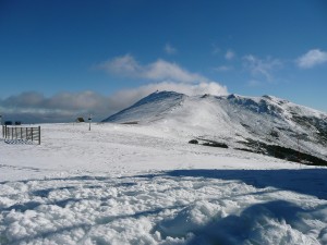 Buller Summit