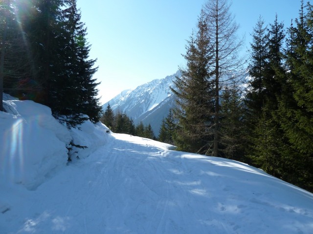 Trail back to Chamonix